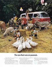 vw-us-zoo-that-runs-on-peanuts-1971.jpg