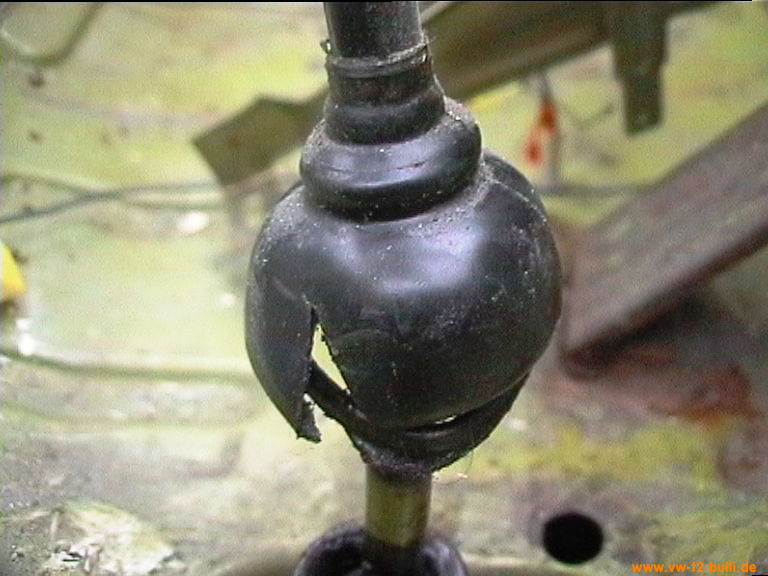 badura.0561.jpg