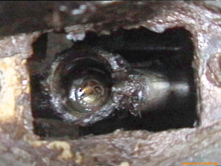 badura.0563.jpg