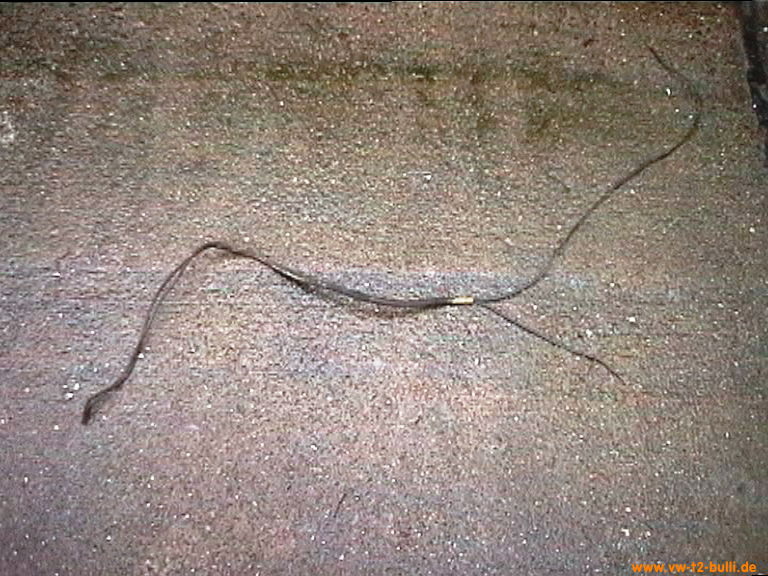 badura.0592.jpg