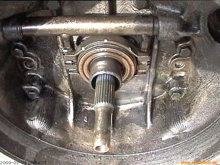 badura.0675.jpg