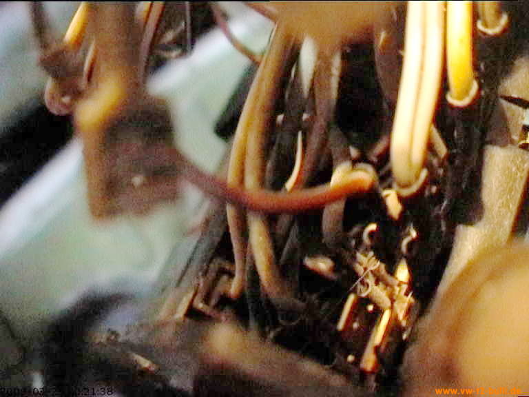 badura.0783.jpg