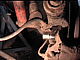 badura.0695.jpg