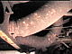 badura.0724.jpg