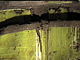 badura.0751.jpg