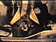 badura.0765.jpg