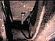 badura.0767.jpg